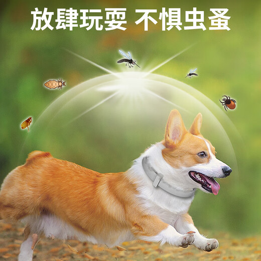 XINGKU cat deworming collar pet cats use external fleas lice ticks and ticks to prevent mosquito bites [Cat] deworming collar