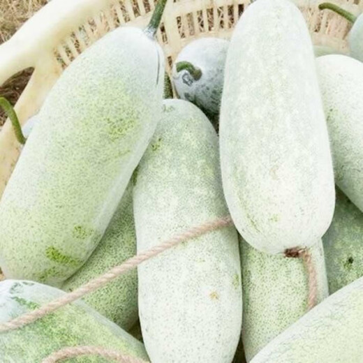 One melon per section, winter melon seeds, hairy section melon, small winter melon, stable yield for all seasons in spring, potted vegetable seeds, 20 pieces, pink-skinned winter melon