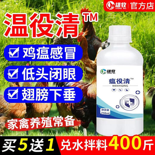 Xiong Mu Wen Ye Qing raises chickens, ducks and geese with malaise and plague, prevents chicken plague, coughs and snores, poultry feed additives 1 bottle of Wen Ye Qing 250ml