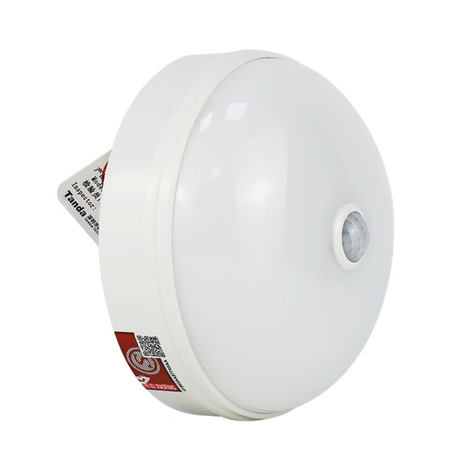 
Taihe An centralized power control emergency lighting fixture ceiling recessed wall evacuation lighting indicator light TS-ZFJC-E5W-6624 recessed
