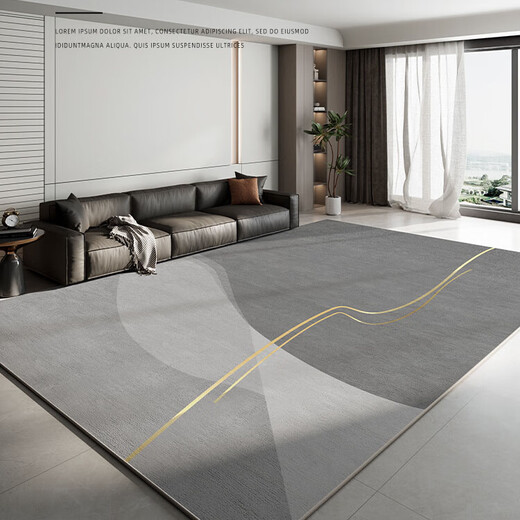 
CERNI German carpet living room new light luxury high-end sofa coffee table blanket gray thickened erasable waterproof carpet Modern 12172 140*200CM