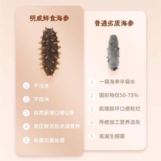 Mingwei sea cucumber, fresh and ready-to-eat sea cucumber and sea cucumber, fresh processed and individually packaged, single package, ready-to-eat frozen seafood gift box, 10-12 heads (1 Jin Jin is equal to 0.5 kg)