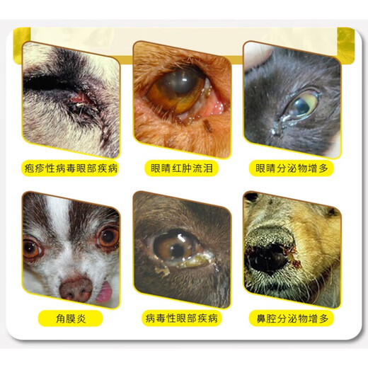 PESIN Cat, носовой герпес, Фамцивировир, таблетки для кошек, вирус герпеса, кошачий носовой герпес, таблетки доксициклина, Famciviro, 40 капсул/коробка