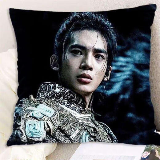 Yushi pillow Fengshen Jifa peripheral double-sided cushion best friend classmate birthday gift room dormitory pillow Yushi 1 50x80cm (pillow core + pillowcase)
