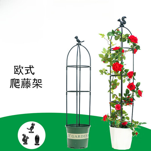 Clematis Ivy marco de trepadora marco de rosa jardinería hiedra de trepadora balcón de escalada de balcón de soporte de soporte de soporte de flores lzb a019 modelo de pájaro blanco de dos capas alto 95 cm+ para la cabeza de la ardilla