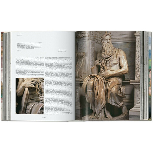 Michelangelo. The Complete Works. Paintings Sculptures Architecture, Michelangelo's complete collection of paintings, sculptures, and architectural works