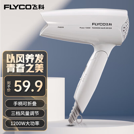 飞科（FLYCO） 电吹风2000W家用大小功率吹风筒便携式吹风机冷热风负离子不伤发 飞科FH6255  1200W   婚纱白