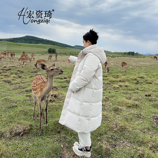 Hongziqi Down Jacket Women's Winter 2025 New Thickened Mid-Length Cotton Jacket Loose Knee-Length Cotton Jacket Extra Thick Black L (Recommended 115 125 Jin Jin equals 0.5 kg)