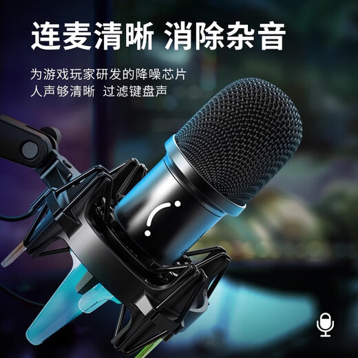 FIFINE dynamic microphone computer mobile phone live broadcast game voice recording dubbing professional radio noise reduction equipment USB wired microphone K651 K651 microphone