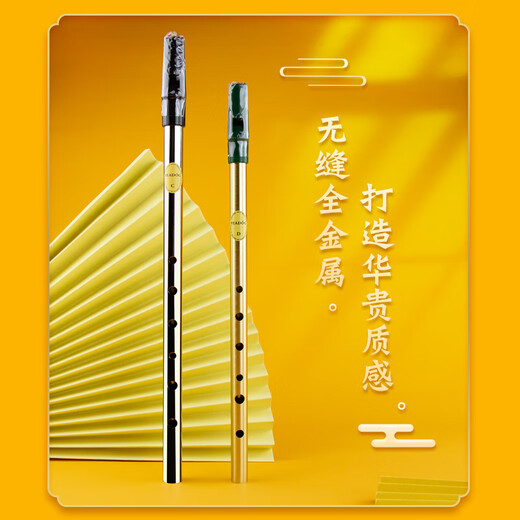杉贝英国Feadog飞叨爱尔兰哨笛锡笛C调D调初学生哨笛我心永恒笛子乐器 彩色烤漆D调(红色)+使用教材+电
