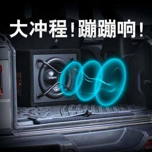 Hangrui 12-Zoll-Auto-Übergewicht Pure Subwoofer-Auto 10-Zoll