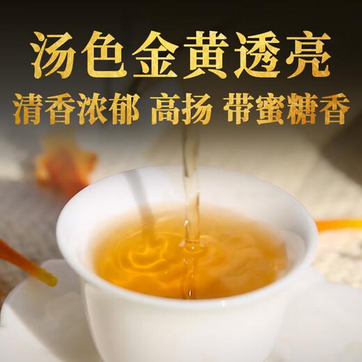 下关沱茶 普洱茶茶叶 生茶 沱茶口粮茶 下关2024年便装特沱500g中华老字号