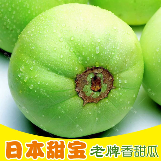 Xiangbin Japanese Sweet Treasure Melon Seeds Extra Large Authentic Spring Season Fruit Seeds Super Sweet Watermelon Muskmelon Seeds Japanese Sweet Treasure Seeds 100 original x2 packs