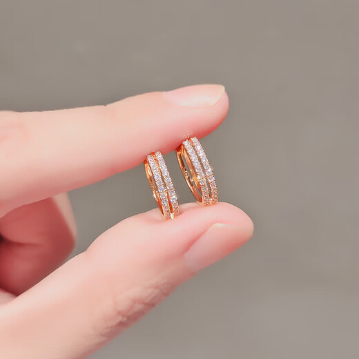 DL 1998 Fat Donglai same style rose gold earrings, temperament earrings 2024 new style micro-embellished fashionable versatile earrings double layer round rose gold double layer earrings