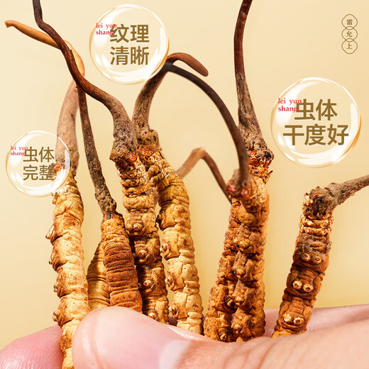 雷允上【官方】冬虫夏草高档虫草礼盒滋补品送长辈礼品送健康高端送人 【虫草致友，情谊长存】扎花礼盒装-虫草5g装