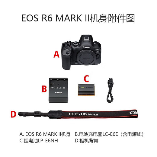 Canon EOS R6 Mark II R6 second generation R62 full-frame microcamera R6 II RF50mm F1.8 STM standard