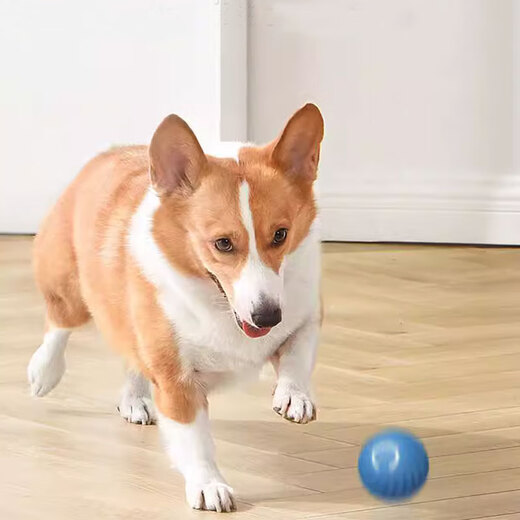 Zigman Dog Toy Bite-Resistant Ball Automatic Dog-Amusing Artifact Self-Happiness Relief Pet Electric Puppy Intelligent Elastic Dog Walking Ball