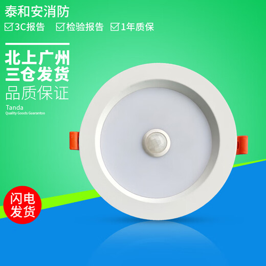 集中电源控制型消防应急照明灯具吸顶嵌墙式疏散照明 TS-ZFJC-E5W-6624G 嵌入式