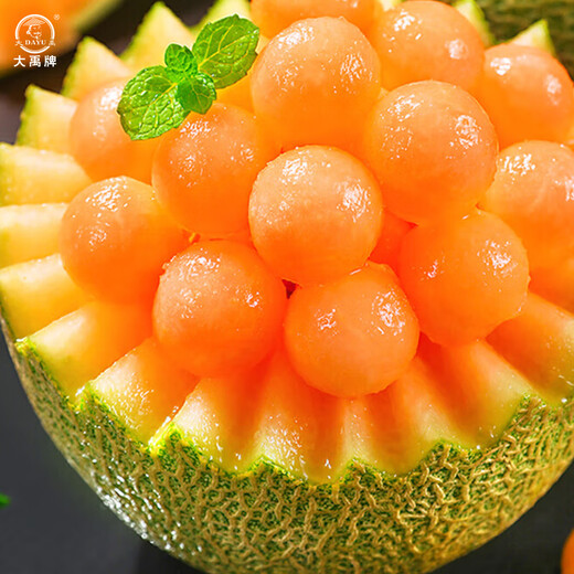 Dayu Hami Melon Seed Seedlings Southern Reticulated Xinjiang Hami Melon Seeds Musk Melon Xiangyang Hami Melon Seeds 100 Fruit Musk Melons