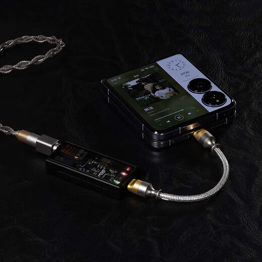 DdHiFi TC05 M2 Dual Type-C One-way OTG Decoding Headphone Amplifier Small Tail Audio Data Upgrade Cable Rechargeable TC05 M2 (50CM)