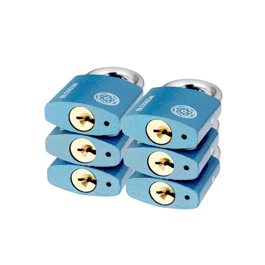 
Plum BlosSOM Padlock Copper core anti-rust lock Indoor and outdoor waterproof door lock Anti-theft household lock 38MM blue BC2938