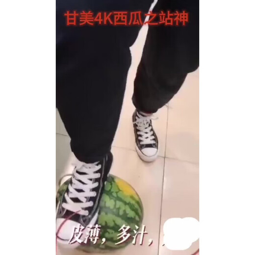 Sweet 4K Watermelon Seeds Spring and Autumn Sowing Station Divine Watermelon Seeds Thin Skin Dry Juice High Sweetness Low Temperature and Low Light Resistance 600 capsules/bag