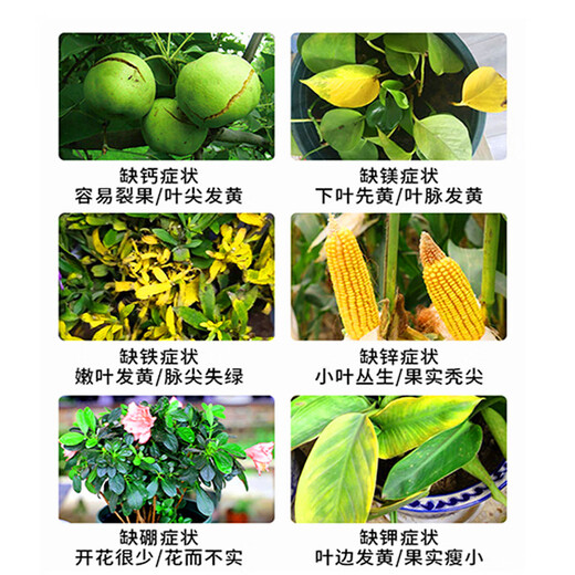 智绿复合肥料通用型氮磷钾肥花卉蔬菜果树农用肥颗粒肥中量元素水溶肥 复合肥硫基均衡型5斤*1桶