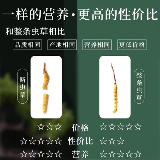 
(SF Express) Authentic Tibetan area Naqu break Cordyceps Cordyceps Cordyceps Big broken grass eats Cordyceps broken grass Authentic Tibetan Naqu whole meat festival 10 grams pack