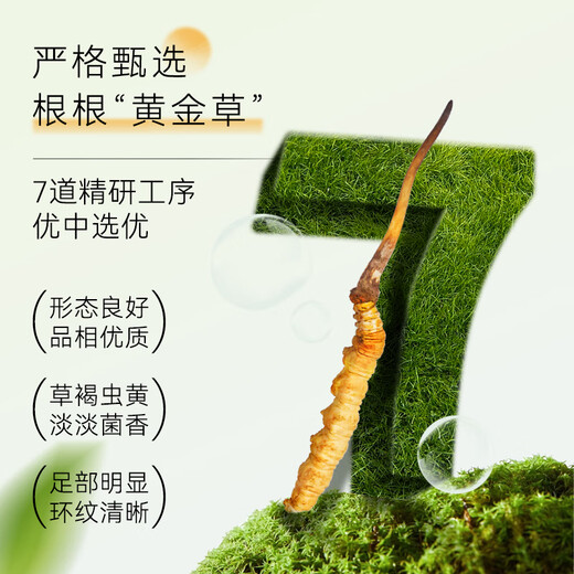 Dongyangguang Cordyceps sinensis 3-4 raíces/G6G Aproximadamente 20 raíces Cordyceps Caja de regalo de alta gama Suplementos nutricionales para ancianos y padres