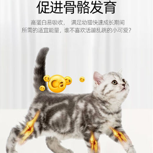 Laughing Pet Cat Food Freeze-Dried Cat Food for Kittens 0-12 Months Universal Indoor American and British Short Blue Cat Fish Flavor Nutritional Probiotics 0-12 Months Kitten Food 3Jin Jin equals 0.5kg _bag