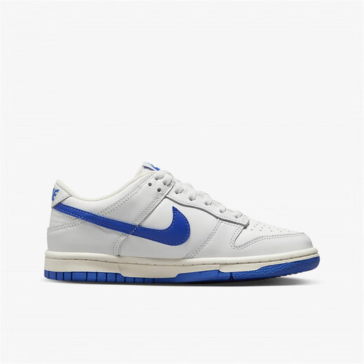 Nike Dunk Low White and Blue Wear-resistant Breathable Low Top Sports and Casual Shoes DH9765-105 37.5
