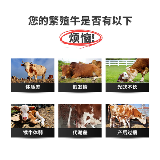 Yingmeier 4% breeding cattle premix, breeding cow breeding bull special cow lactation milk sufficient cow mother feed wholesale