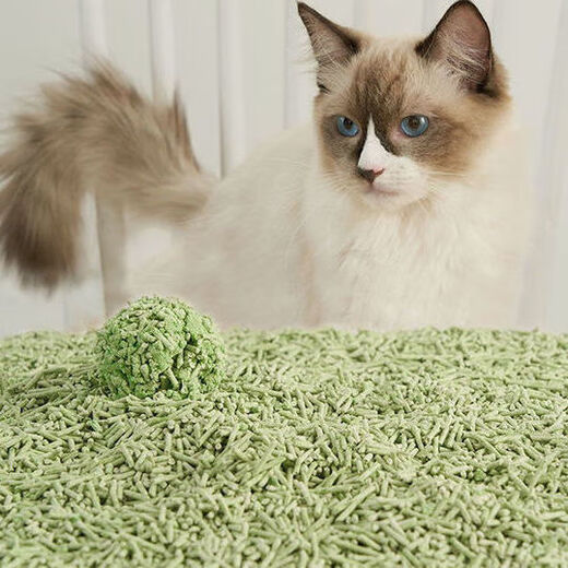 Favorite cat litter, tofu cat litter, milk scent 2.5kg, dust-free, clumps quickly and can flush the toilet 5 Jin Jin is equal to 0.5 kg, cat cleaning supplies 2.5kg, green tea scented tofu cat litter, 8 packs