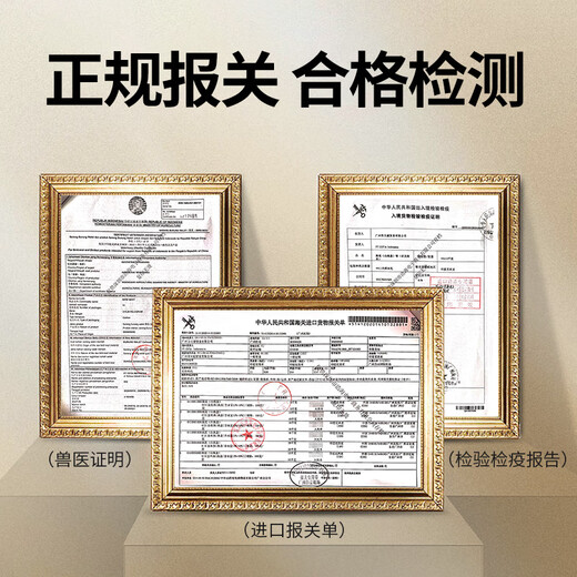 燕天使【进口燕窝】印尼溯源燕窝 一盏一码 孕妇燕窝营养品年货礼盒送礼 9A200克精选溯源燕盏（赠豪华礼包）