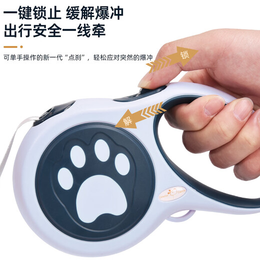 Gasgoo Dog Leash Automatic Retractable Dog Walking Cat Small and Medium-sized Dogs Teddy Corgi Large Dog Pet Supplies