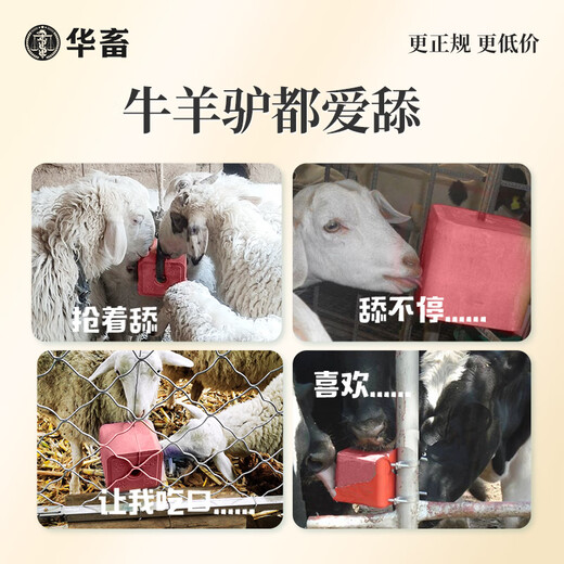 Hua livestock salt bricks for cattle and sheep licking bricks for sheep, salt blocks for cattle, nutritional trace elements, disease resistance, insect repellent and fattening feed additives 20kg1 box special licking bricks for female animals 40Jin Jin is equal to 0.5kg/box