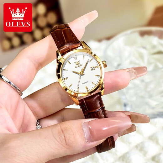 欧利时（OLEVS）瑞士认证品牌手表女士全自动机械表夜光防水女表简约气质轻奢腕表 OLEVS-6629女-棕皮白面