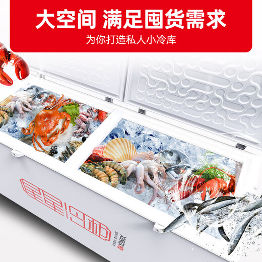 Xingxing (xingx) refrigerador de congelador de gran capacidad de gran capacidad horizontal, refrigeración y conversión del congelador, congelador de temperatura única, eficiencia energética de primer nivel de refrigeración de alta eficiencia, tiendas, supermercados, tiendas de conveniencia, helado rápido, transmisión interna precubier