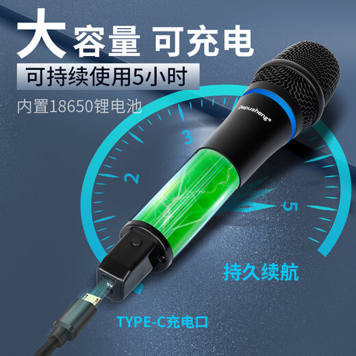 Depusheng REV3900 KTV pre-amp effector with rechargeable wireless microphone for home karaoke singing TV reverberator box commercial anti-howling audio processing USB fiber optic Bluetooth FX8 dual handheld rechargeable microphone