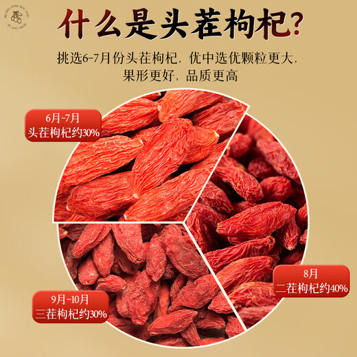 Beijing Tongrentang Authentic Ningxia Red Wolfberry 230G Zhongning Red Wolfberry Tea est utilisé dans la cour intérieure. Produit spécial de spécialité sans soufre
