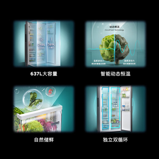 SIEMENS 637L double-door inverter refrigerator double-door large capacity precise control of constant freshness air-cooled frost-free natural fresh storage room independent dual circulation supports national subsidies KT99V1250C