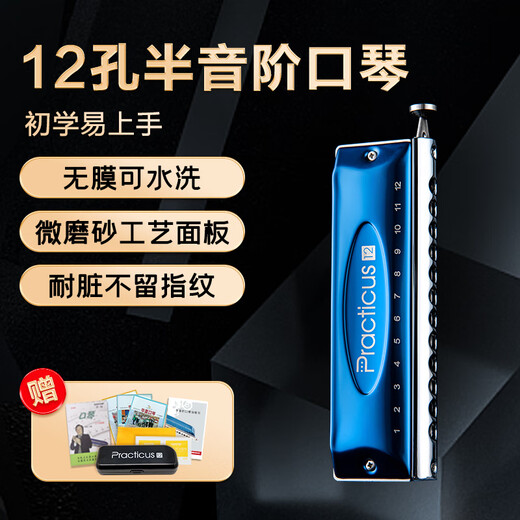 Dunhuang Chromotic harmonica 12-hole film-free washing C-tuning for students to beginners C-tuning black