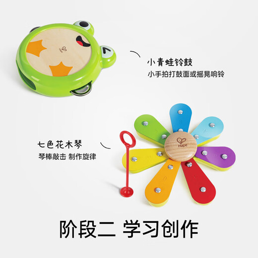 Hape德国儿童早教玩具音乐启蒙五合一自然交响乐套装宝宝礼物 五合一自然交响乐套装【E0639】