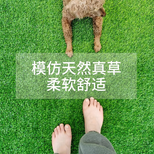 Elegant green lawn mat home balcony mat entry door mat outdoor waterproof simulation carpet 40cm*80cm