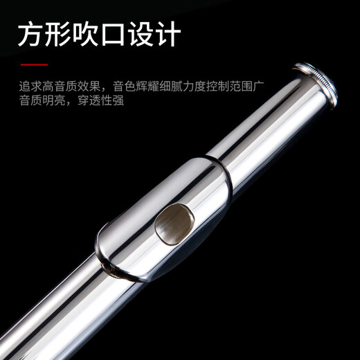 Acacia Bird Flute 16-hole closed-hole dual-purpose adult children beginners playing silver-plated flute instruments for professional performance