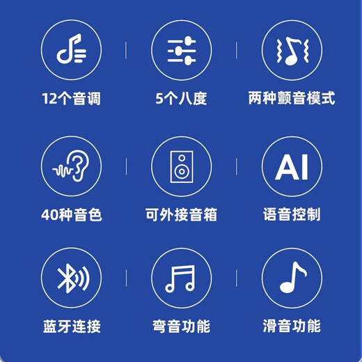Bainuo Huaxia's Rhyme Electric Hoist Silk Musical Instrument Domestic Electronic Blow Tube Hulusi Electronic Electric Electric Sakura Instrument de musique débutant Jinzhu Couleur