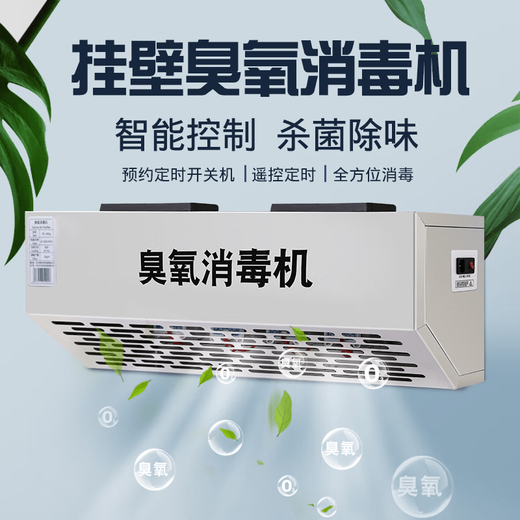 He Jiagong wall-mounted ozone generator disinfection machine food factory workshop garbage classification room commercial 10g20g deodorization 5g small tube machine time period timing