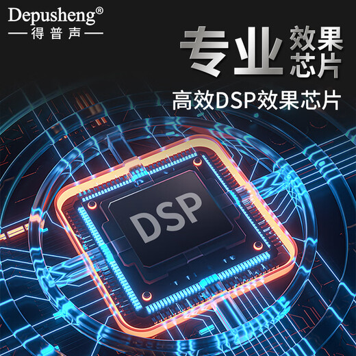 Depusheng REV3900 KTV pre-amp effector with rechargeable wireless microphone for home karaoke singing TV reverberator box commercial anti-howling audio processing USB fiber optic Bluetooth FX8 dual handheld rechargeable microphone