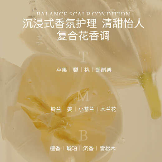 Ziyuan Anti-detachment Strong and Tough Oil Control Shampoo 1055ml Ginger Hair Solid Set Orchidaceae Shampoo Silicone Oil-free Shampoo