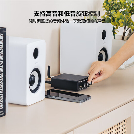 FOSI AUDIO Audio BT20A Bluetooth Digital Amplifier All-in-One Fever Level HIFI High Power Amplifier Professional Audio Music Player Black [24V/4.5A Power Adapter]